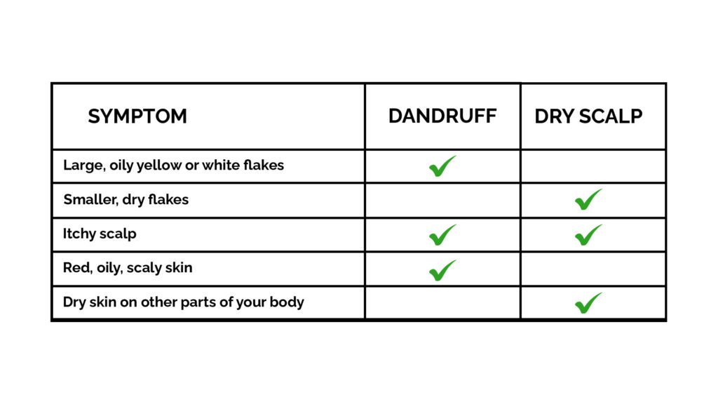 When Should You See a Doctor for Dry Scalp and Dandruff?