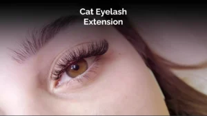 Cat Eyelash Extension